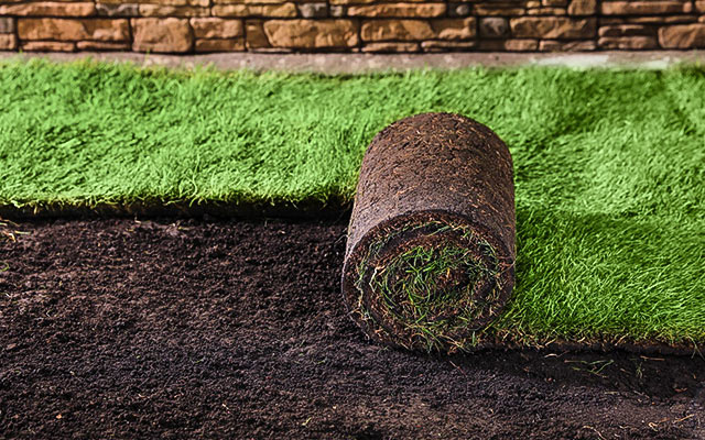 Kalkulator trawy z rolki – oblicz ilość rolek i koszty